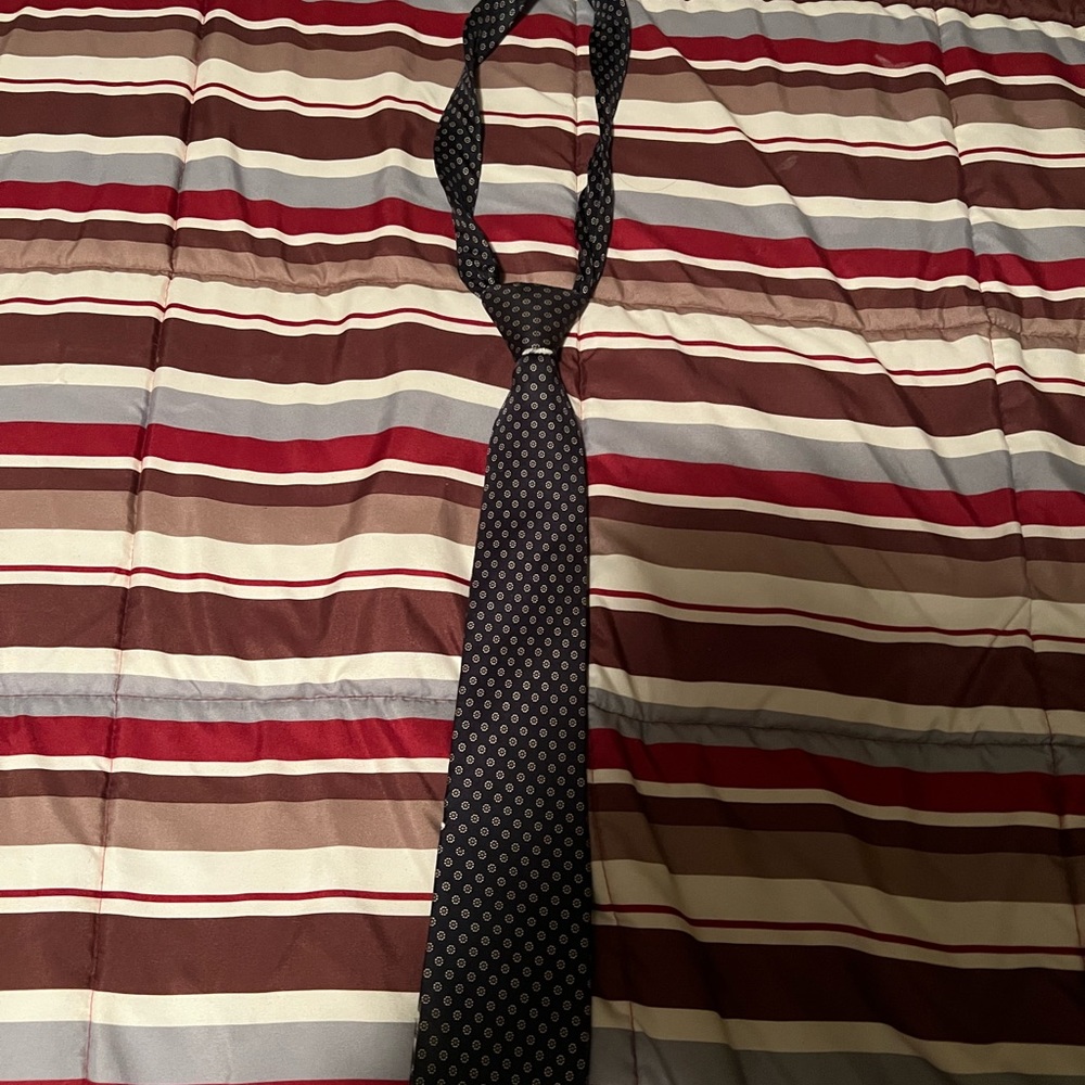 Christian Dior Tie